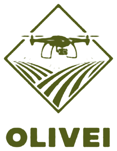 Olivei